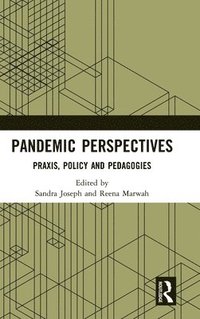 bokomslag Pandemic Perspectives