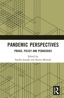 bokomslag Pandemic Perspectives
