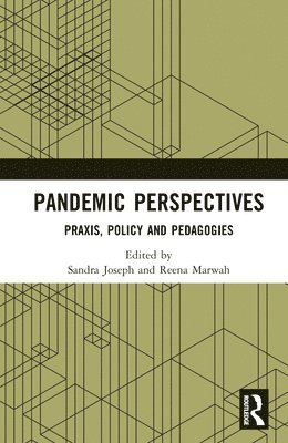 bokomslag Pandemic Perspectives