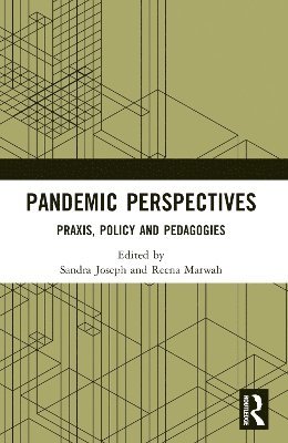 bokomslag Pandemic Perspectives
