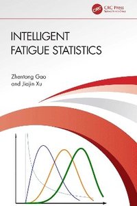 bokomslag Intelligent Fatigue Statistics