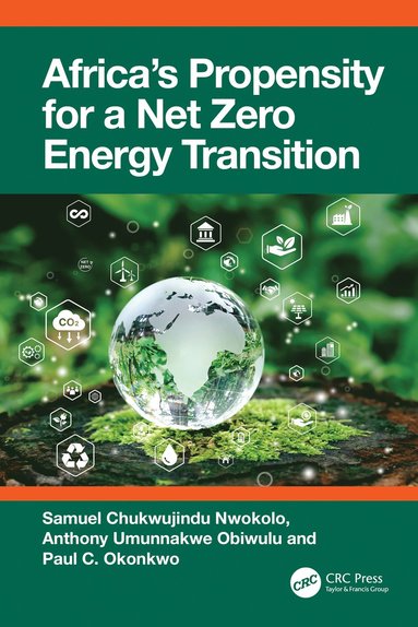 bokomslag Africa's Propensity for a Net Zero Energy Transition