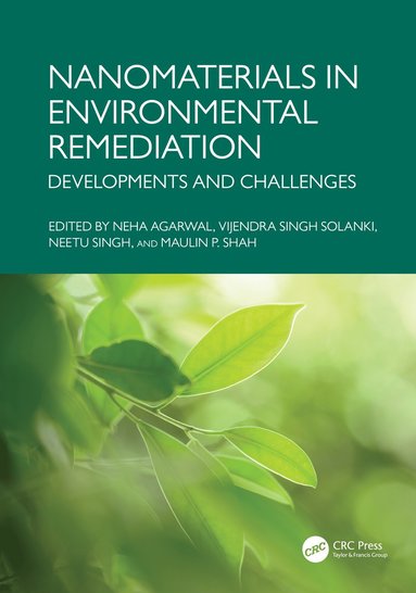 bokomslag Nanomaterials in Environmental Remediation