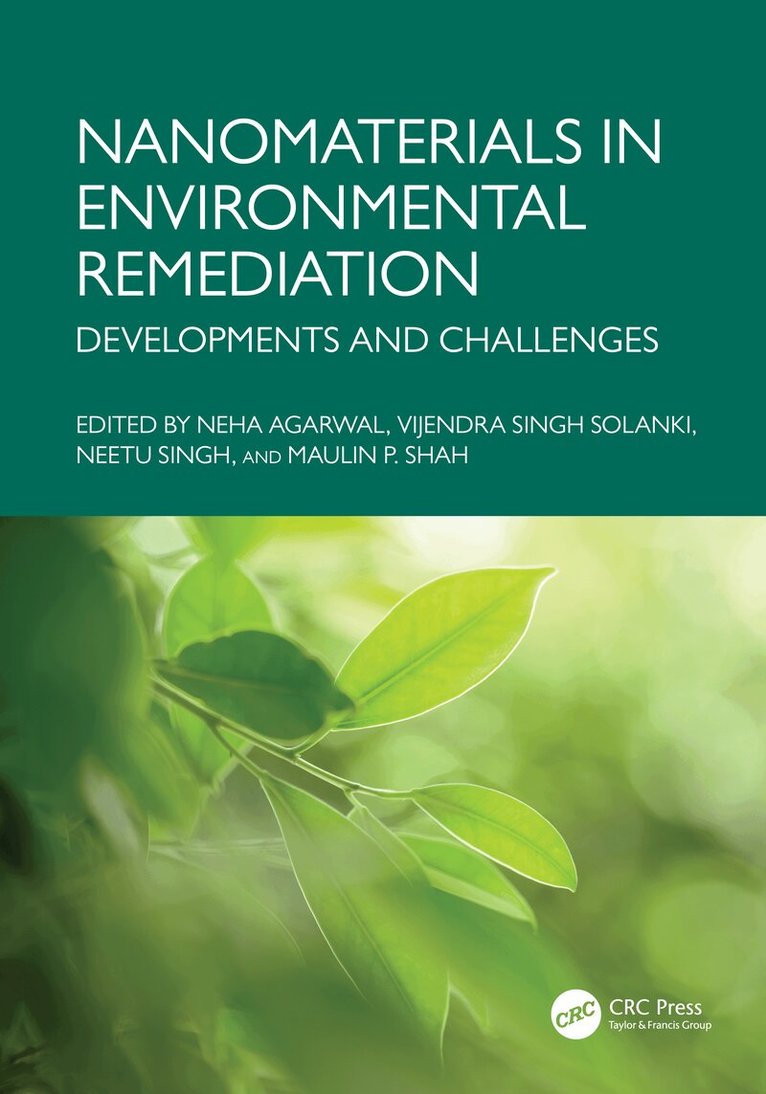 Neha Agarwal, Vijendra Singh Solanki, Neetu Singh, Maulin P. Shah - Nanomaterials in Environmental Remediation, Häftad