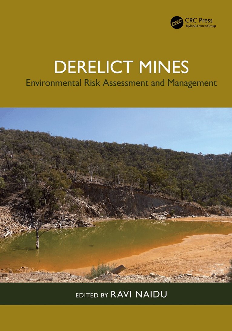 Ravi Naidu - Derelict Mines, Häftad