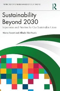 bokomslag Sustainability Beyond 2030