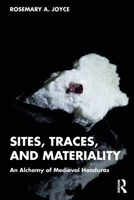 Rosemary A. Joyce, Berkeley.) Joyce, Rosemary A. (University of California - Sites, Traces, and Materiality, Häftad