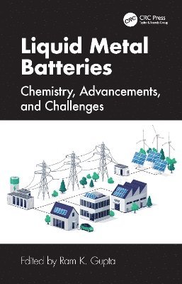 bokomslag Liquid Metal Batteries