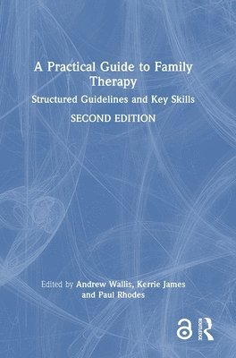bokomslag A Practical Guide to Family Therapy