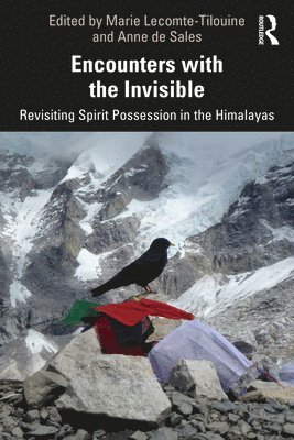 Encounters with the Invisible 1