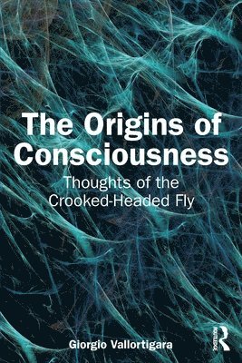 bokomslag The Origins of Consciousness