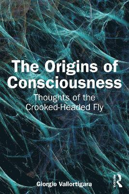 The Origins of Consciousness 1