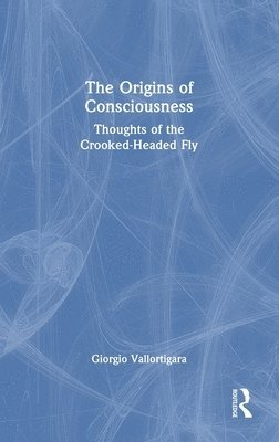 bokomslag The Origins of Consciousness