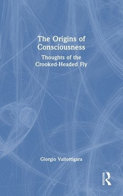 Origins of Consciousness 1