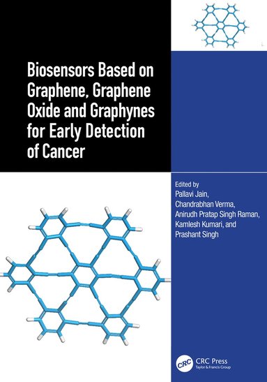 bokomslag Biosensors Based on Graphene, Graphene Oxide and Graphynes for Early Detection of Cancer