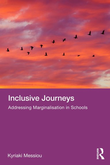 bokomslag Inclusive Journeys