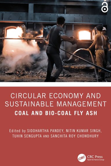Siddhartha Pandey, Nitin Kumar Singh, Tuhin Sengupta, Sanchita Roy Chowdhury - Circular Economy and Sustainable Management, Inbunden