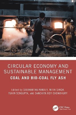 bokomslag Circular Economy and Sustainable Management