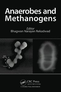 bokomslag Anaerobes and Methanogenes