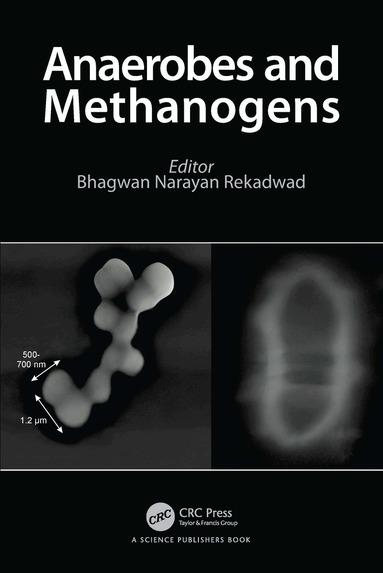 Bhagwan Narayan Rekadwad - Anaerobes and Methanogens, Inbunden
