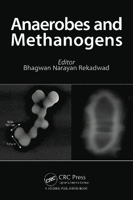 bokomslag Anaerobes and Methanogenes