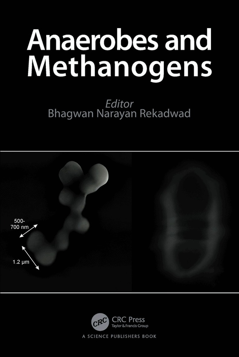 Anaerobes and Methanogens
