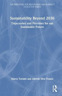 bokomslag Sustainability Beyond 2030