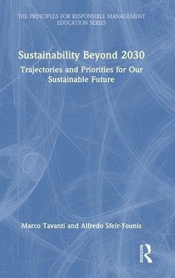 bokomslag Sustainability Beyond 2030