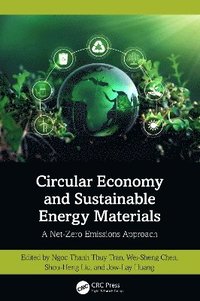 bokomslag Circular Economy and Sustainable Energy Materials