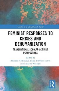 bokomslag Feminist Responses to Crises and Dehumanization