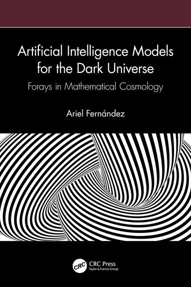 Ariel Fernández - Artificial Intelligence Models for the Dark Universe, Häftad