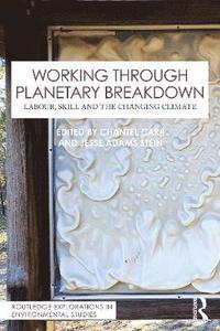 bokomslag Working Through Planetary Breakdown