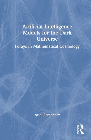 Ariel Fernández - Artificial Intelligence Models for the Dark Universe, Inbunden
