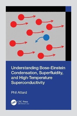 bokomslag Understanding Bose-Einstein Condensation, Superfluidity, and High-Temperature Superconductivity