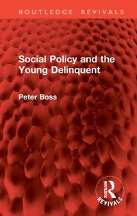 bokomslag Social Policy and the Young Delinquent