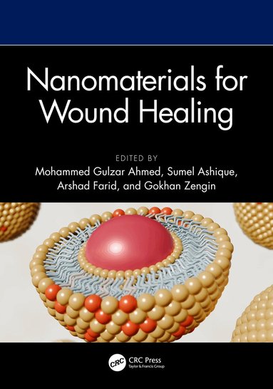 Mohammed Gulzar Ahmed, Sumel Ashique, Arshad Farid, Gokhan Zengin - Nanomaterials for Wound Healing, Inbunden