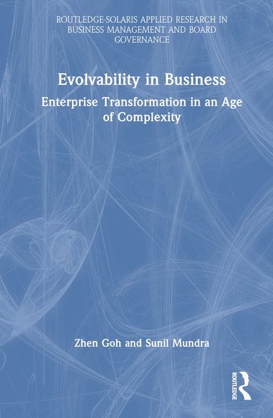 bokomslag Evolvability in Business