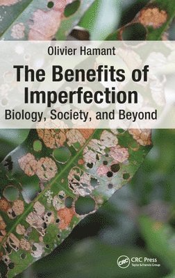 The Benefits of Imperfection 1