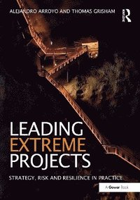 bokomslag Leading Extreme Projects