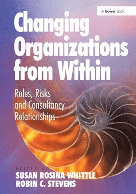 Changing Organizations from Within 1