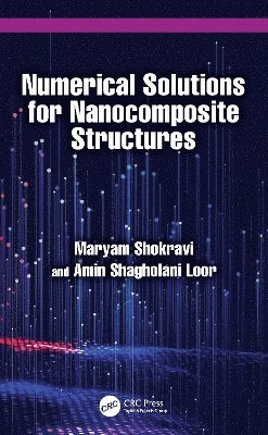 bokomslag Numerical Solutions for Nanocomposite Structures