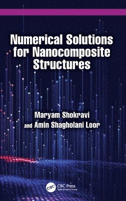 bokomslag Numerical Solutions for Nanocomposite Structures