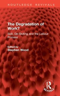 bokomslag The Degradation of Work?