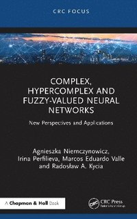 bokomslag Complex, Hypercomplex and Fuzzy-valued Neural Networks