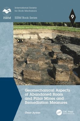 bokomslag Geomechanical Aspects of Abandoned Room and Pillar Mines and Remediation Measures