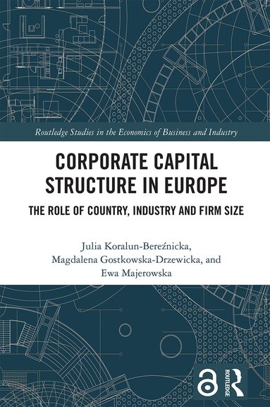 Julia Koralun-Bereźnicka, Magdalena Gostkowska-Drzewicka, Ewa Majerowska - Corporate Capital Structure in Europe, Häftad