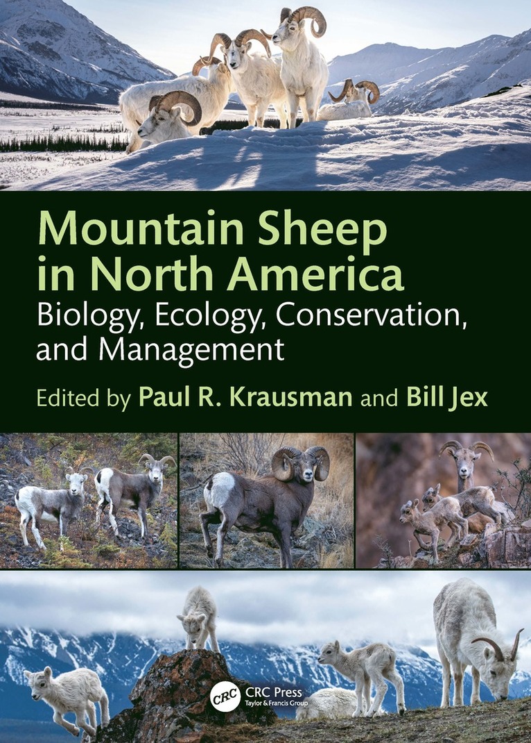 Paul R. Krausman, William Jex, Tucson) Krausman, Paul R. (Univ. of Arizona - Mountain Sheep in North America, Häftad