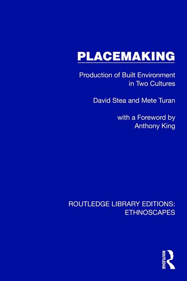 David Stea, Mete Turan - Placemaking, Häftad