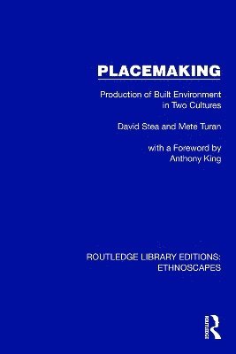 bokomslag Placemaking