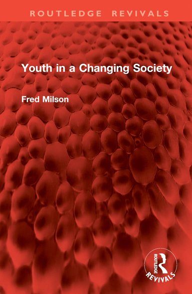 bokomslag Youth in a Changing Society